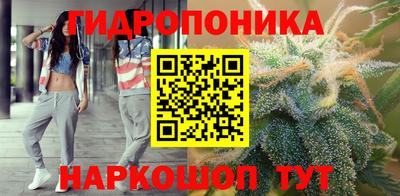 хмурый Тула