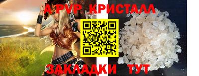 хмурый Тула