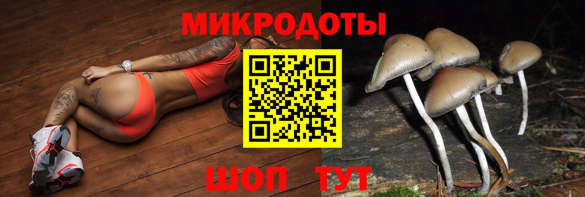 Галлюциногенные грибы MAGIC MUSHROOMS  Вход с VPN  Нижнекамск 
